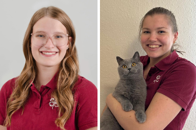 Fachtierarztpraxis Kleebachtal - Breaking News aus der Praxis